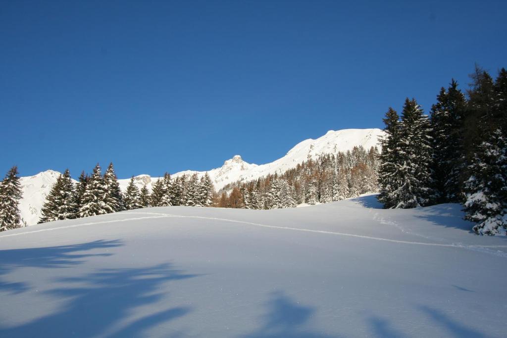 Apartament Haus Mattle Pettneu am Arlberg Zewnętrze zdjęcie