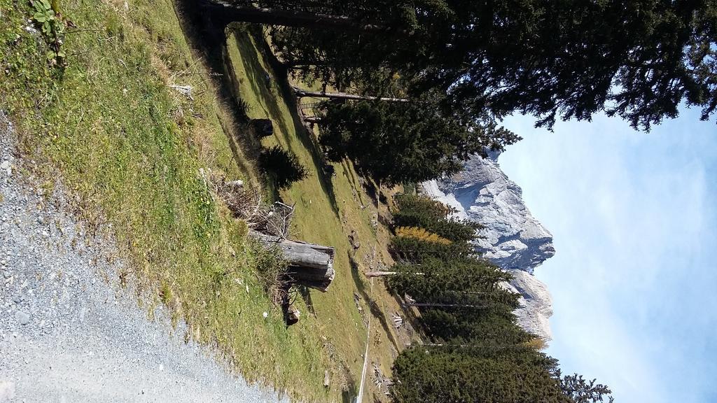 Apartament Haus Mattle Pettneu am Arlberg Zewnętrze zdjęcie